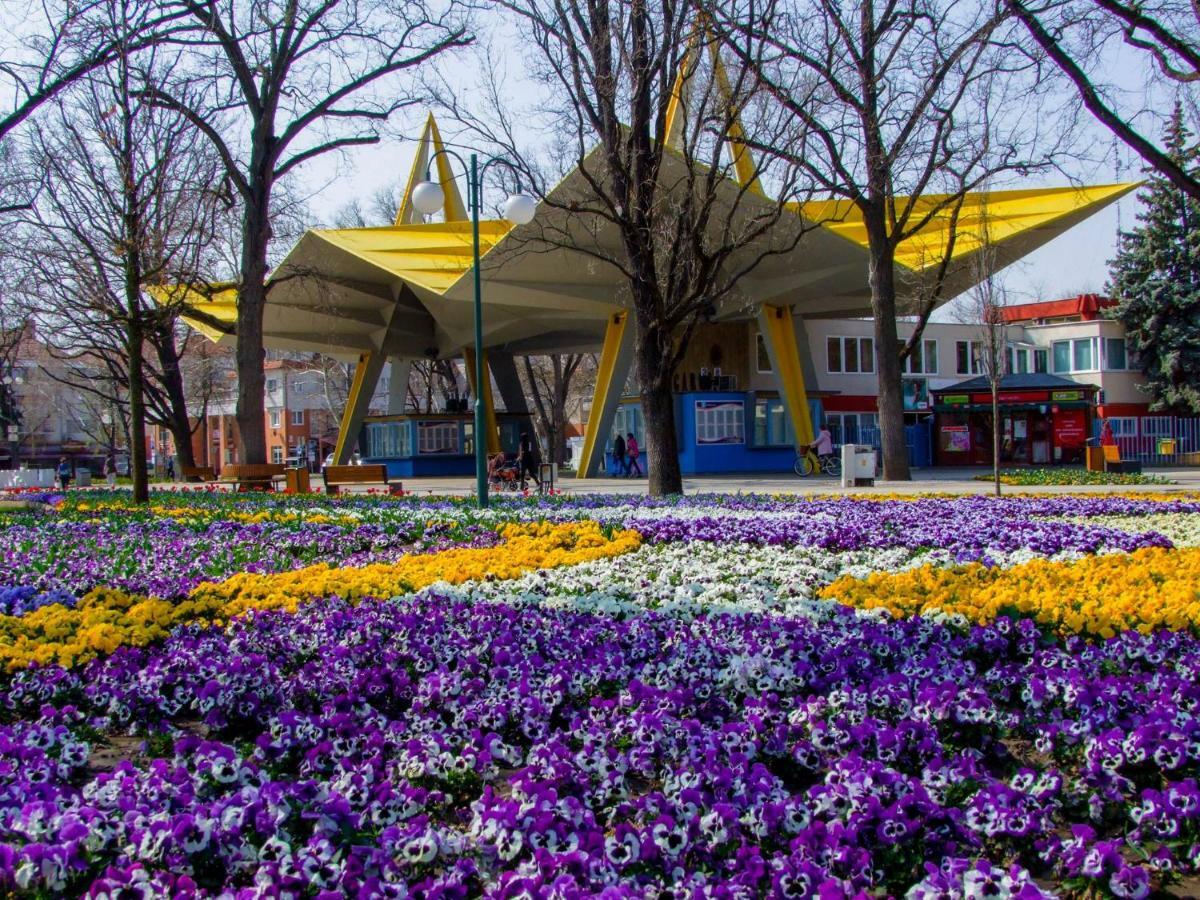 Gréta Apartman Hajdúszoboszló Exterior foto